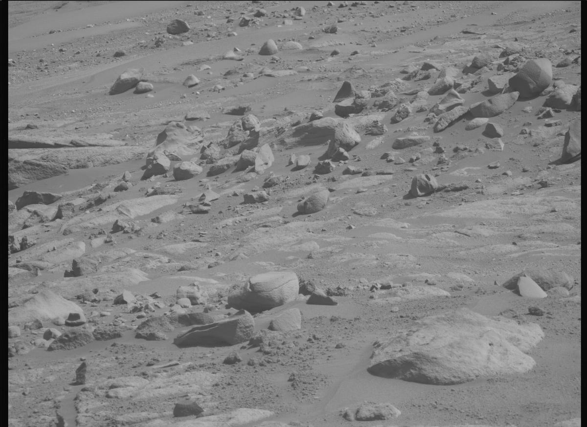 This image was taken by MCZ_LEFT onboard NASA's Mars rover Perseverance on Sol 790