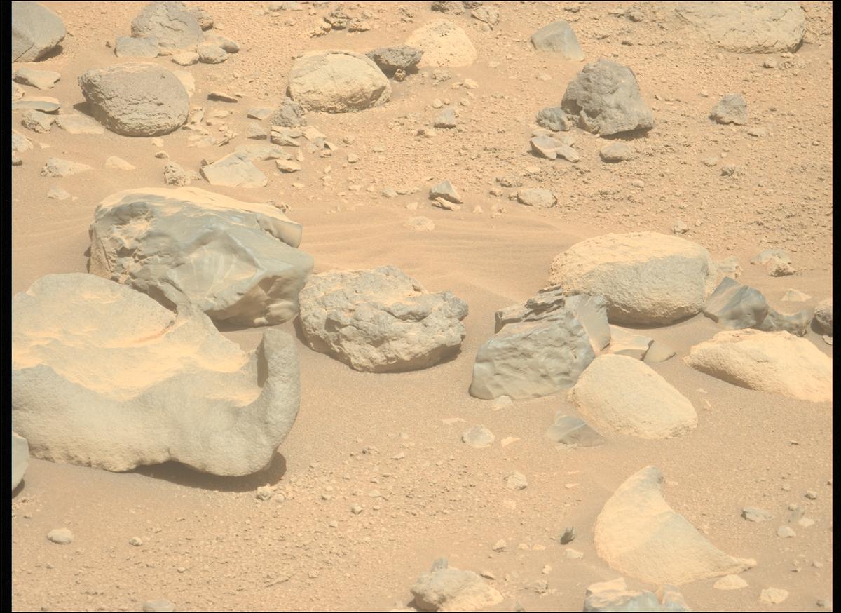 This image was taken by MCZ_LEFT onboard NASA's Mars rover Perseverance on Sol 790