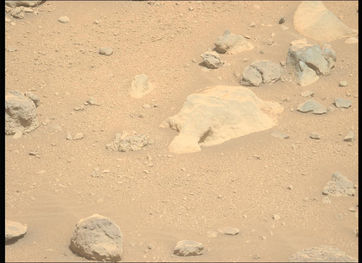 This image was taken by MCZ_LEFT onboard NASA's Mars rover Perseverance on Sol 790