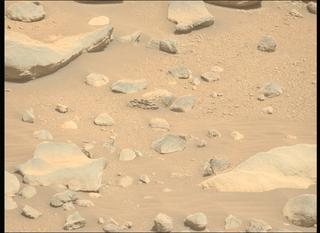 View image taken on Mars, Mars Perseverance Sol 790: Left Mastcam-Z Camera