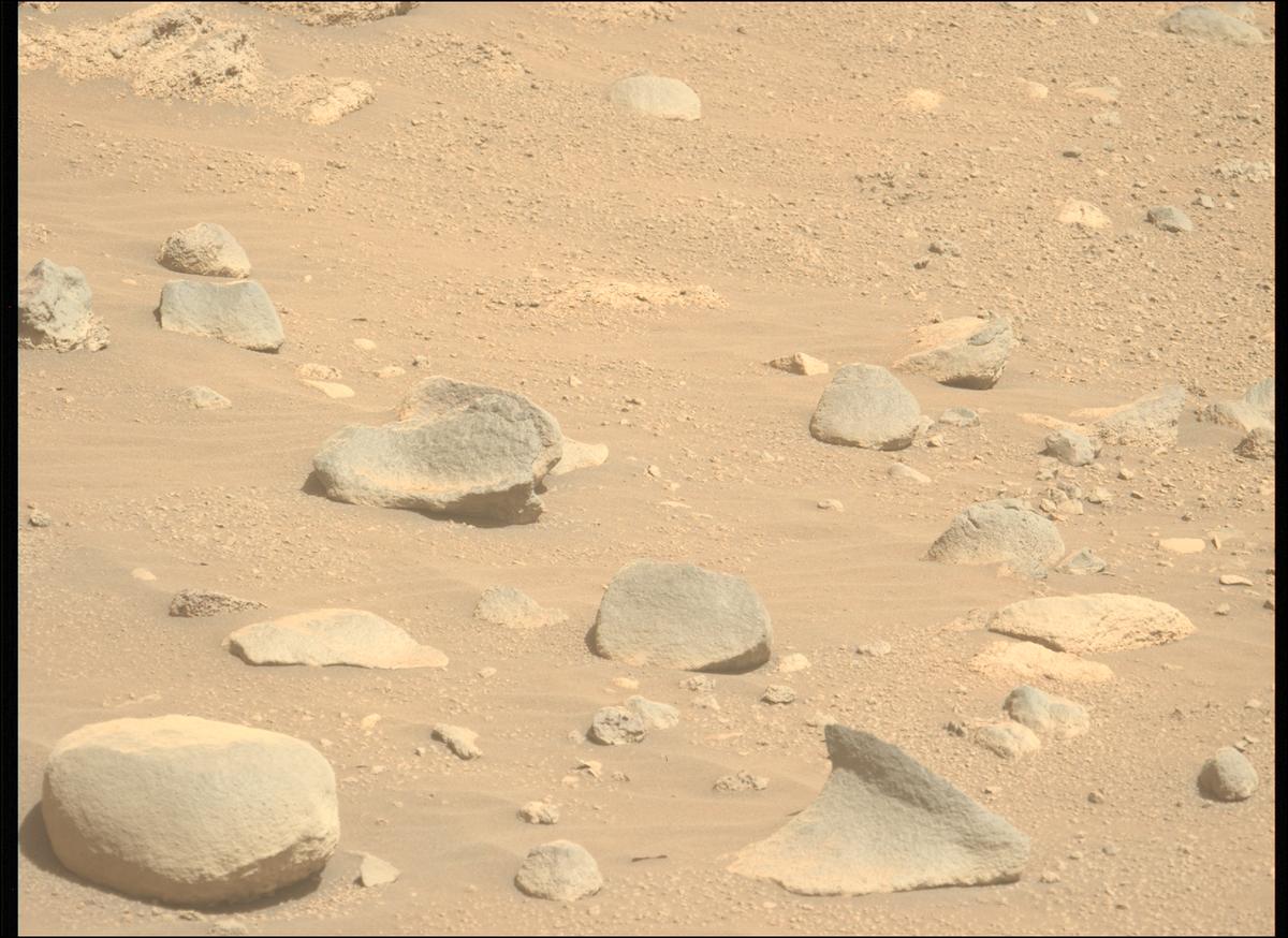 This image was taken by MCZ_LEFT onboard NASA's Mars rover Perseverance on Sol 790