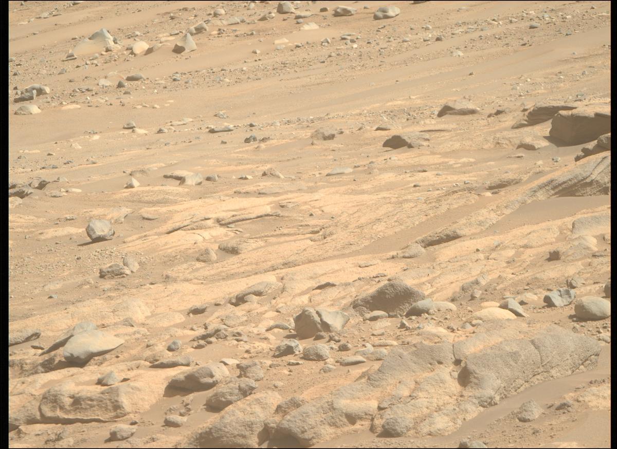 This image was taken by MCZ_RIGHT onboard NASA's Mars rover Perseverance on Sol 790
