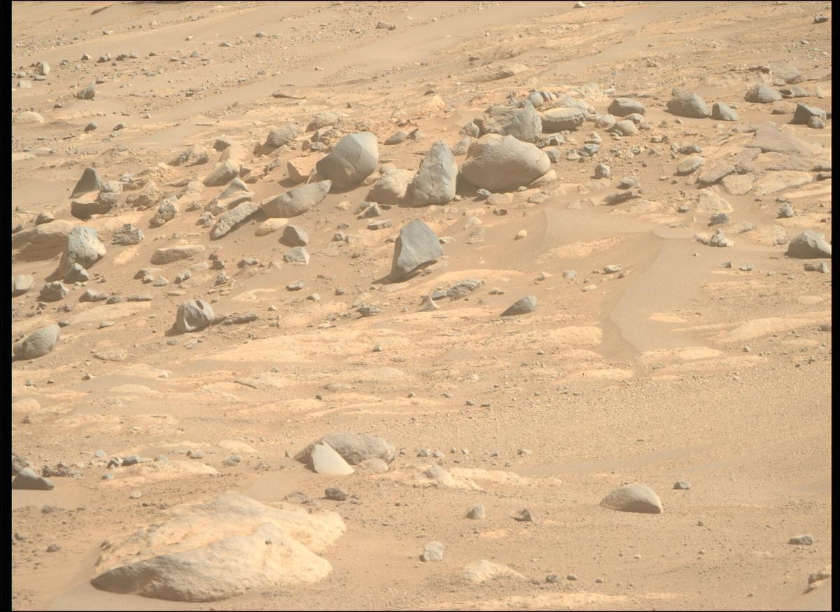 This image was taken by MCZ_RIGHT onboard NASA's Mars rover Perseverance on Sol 790