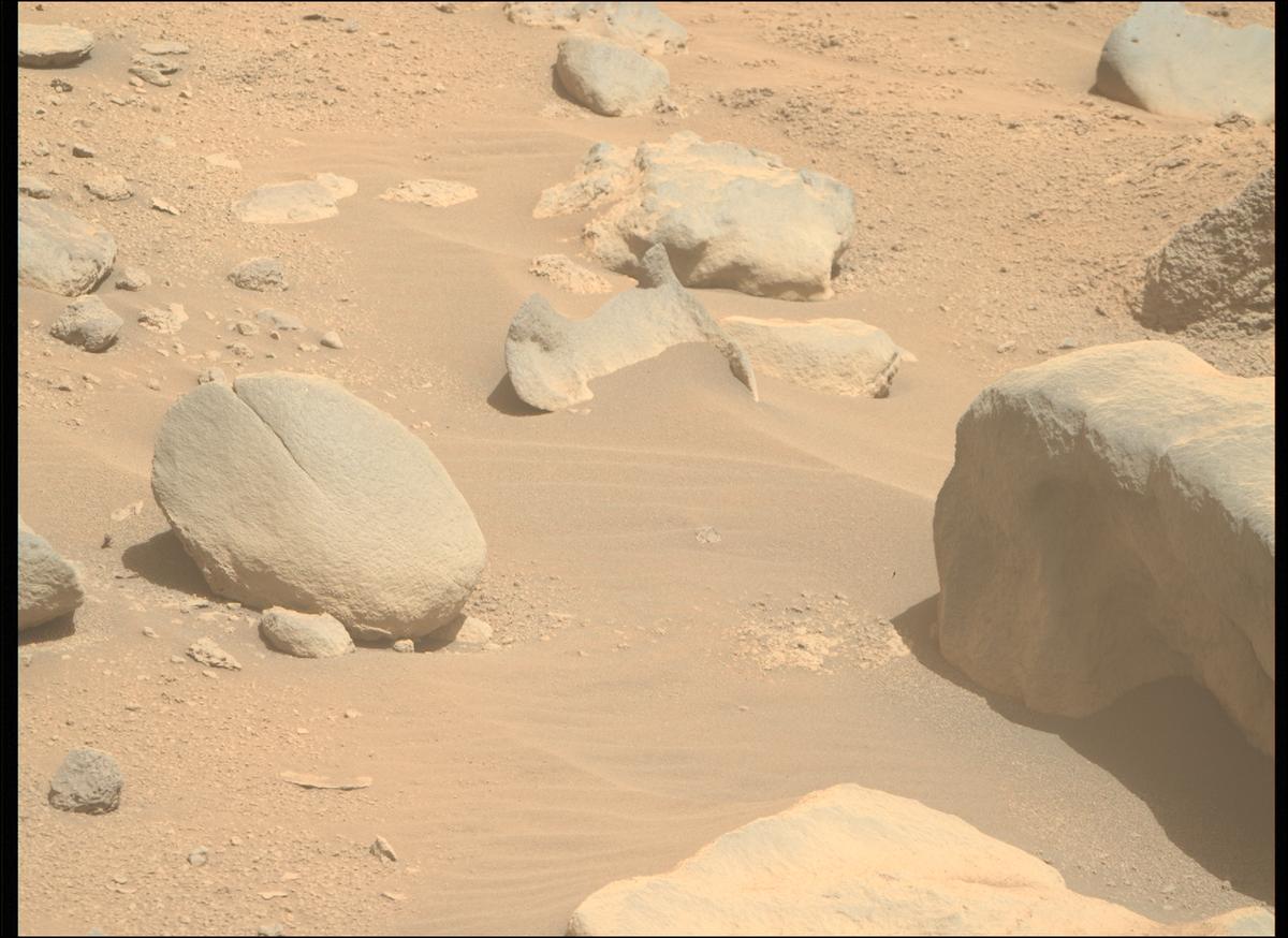 This image was taken by MCZ_RIGHT onboard NASA's Mars rover Perseverance on Sol 790