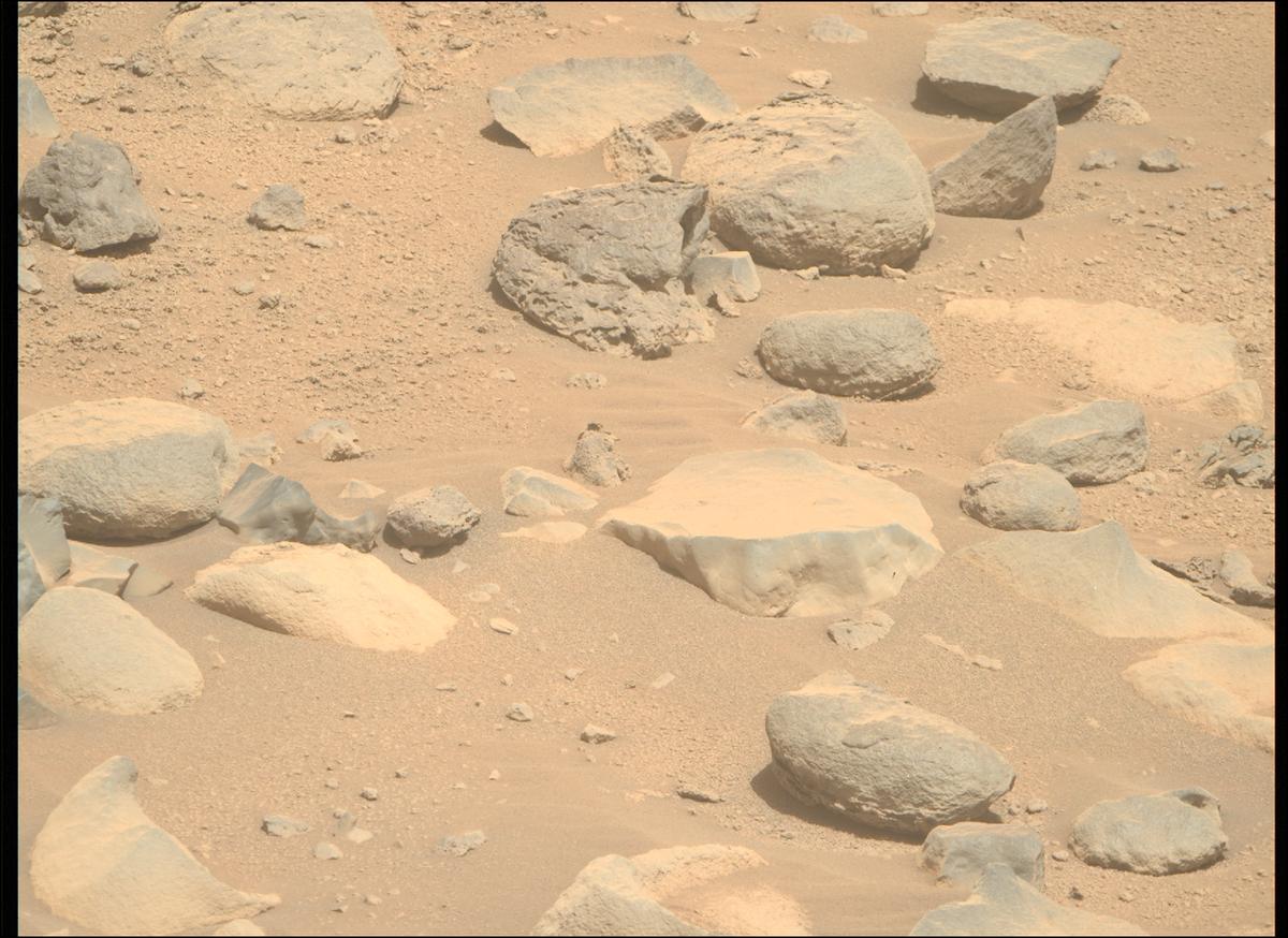 This image was taken by MCZ_RIGHT onboard NASA's Mars rover Perseverance on Sol 790