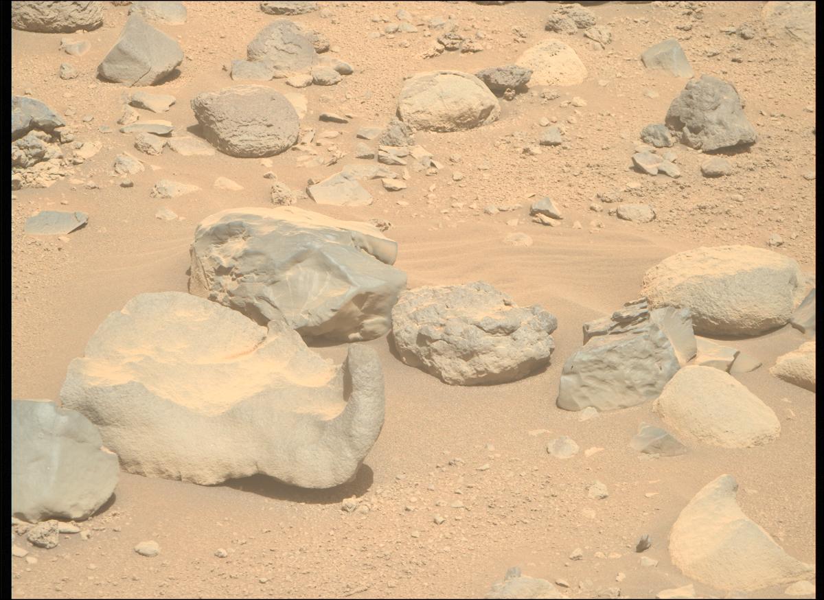 This image was taken by MCZ_RIGHT onboard NASA's Mars rover Perseverance on Sol 790