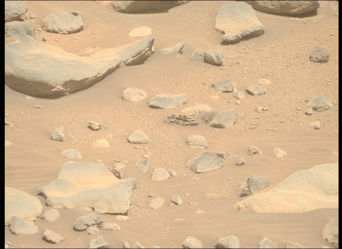 This image was taken by MCZ_RIGHT onboard NASA's Mars rover Perseverance on Sol 790