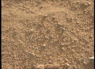 View image taken on Mars, Mars Perseverance Sol 793: Right Mastcam-Z Camera