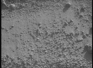 View image taken on Mars, Mars Perseverance Sol 796: Right Mastcam-Z Camera