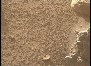 View image taken on Mars, Mars Perseverance Sol 796: Right Mastcam-Z Camera