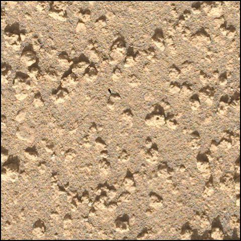 This image was taken by SHERLOC_WATSON onboard NASA's Mars rover Perseverance on Sol 799