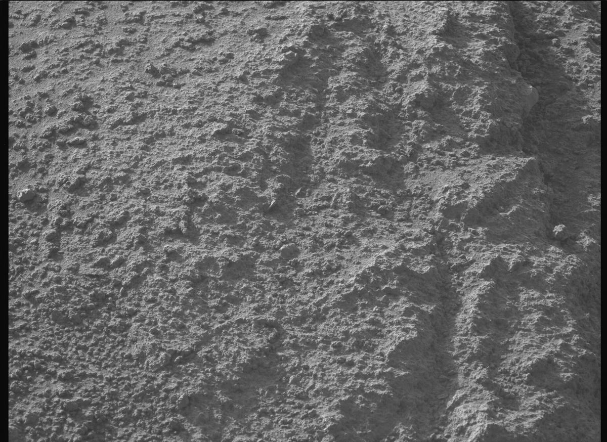 This image was taken by MCZ_LEFT onboard NASA's Mars rover Perseverance on Sol 799