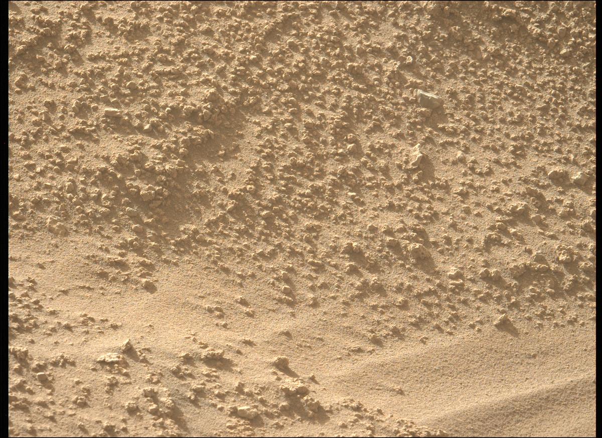 This image was taken by MCZ_LEFT onboard NASA's Mars rover Perseverance on Sol 799