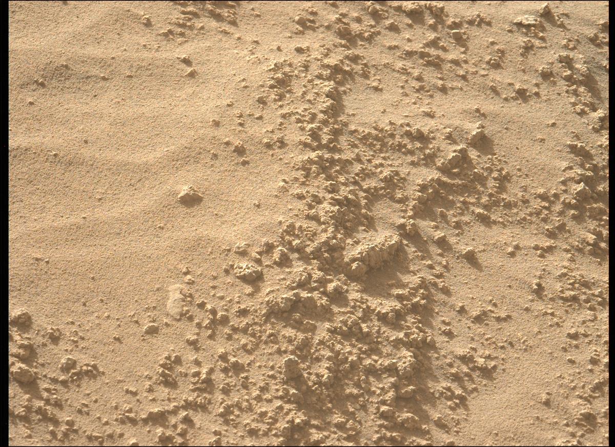 This image was taken by MCZ_LEFT onboard NASA's Mars rover Perseverance on Sol 799