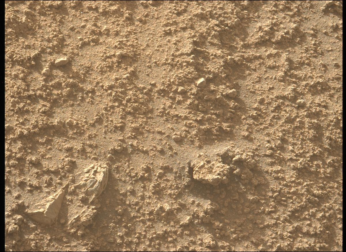 This image was taken by MCZ_LEFT onboard NASA's Mars rover Perseverance on Sol 799