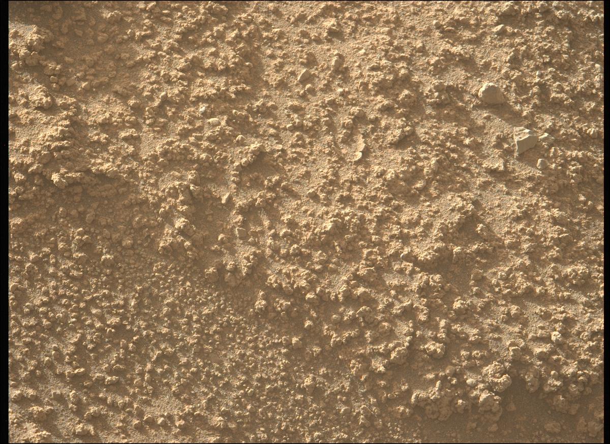 This image was taken by MCZ_LEFT onboard NASA's Mars rover Perseverance on Sol 799