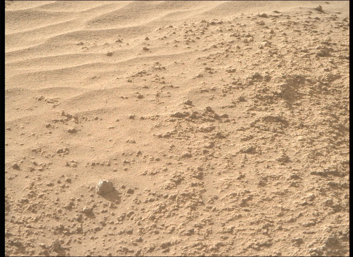 This image was taken by MCZ_RIGHT onboard NASA's Mars rover Perseverance on Sol 799