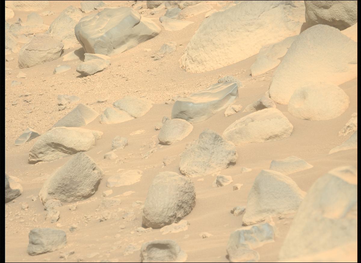 This image was taken by MCZ_LEFT onboard NASA's Mars rover Perseverance on Sol 800