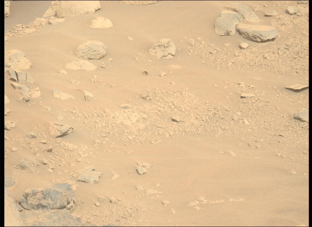This image was taken by MCZ_LEFT onboard NASA's Mars rover Perseverance on Sol 800