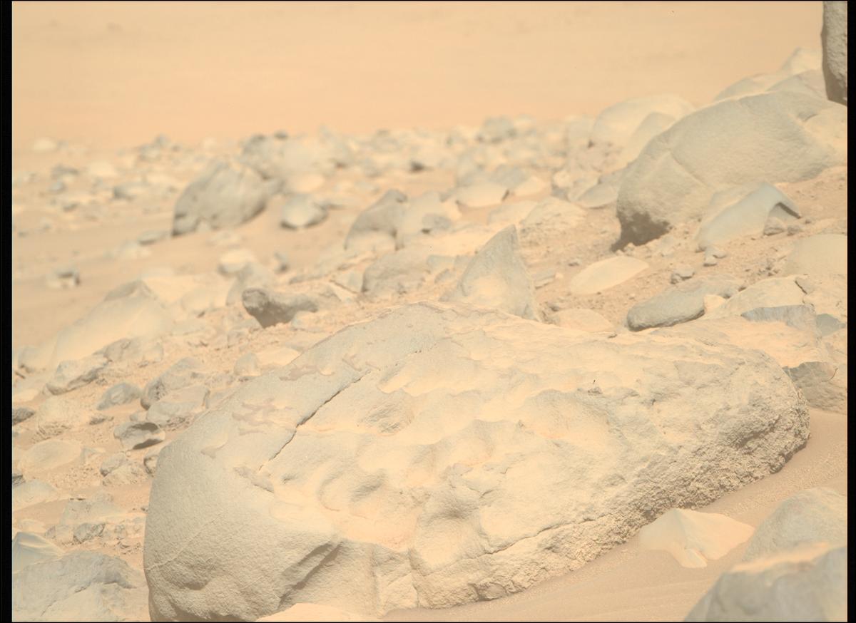 This image was taken by MCZ_RIGHT onboard NASA's Mars rover Perseverance on Sol 800