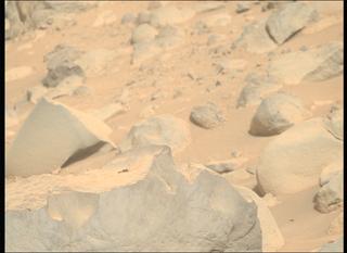 View image taken on Mars, Mars Perseverance Sol 800: Right Mastcam-Z Camera