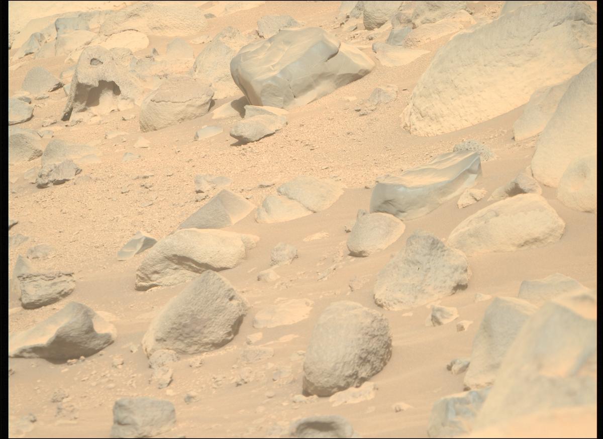 This image was taken by MCZ_RIGHT onboard NASA's Mars rover Perseverance on Sol 800