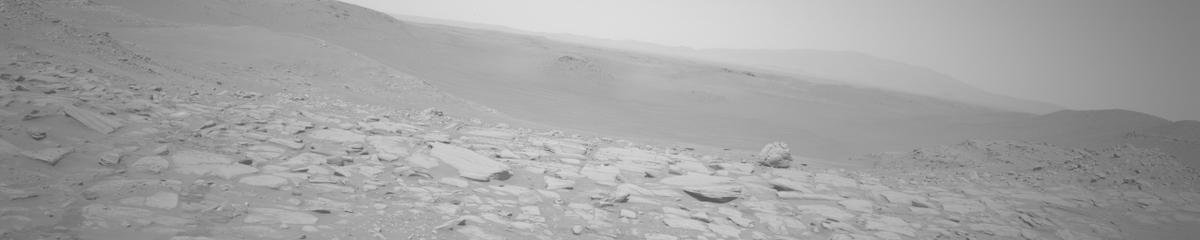 This image was taken by NAVCAM_LEFT onboard NASA's Mars rover Perseverance on Sol 801