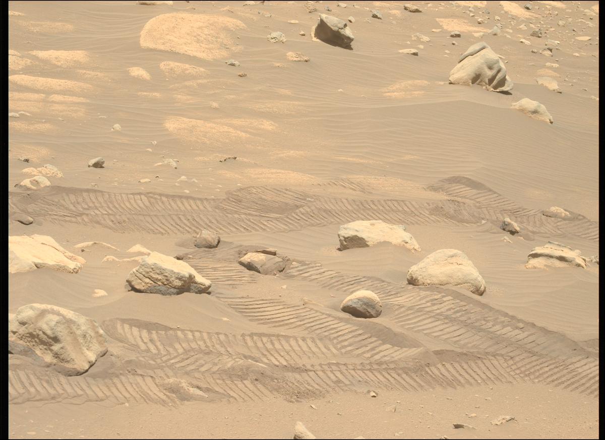 This image was taken by MCZ_LEFT onboard NASA's Mars rover Perseverance on Sol 805