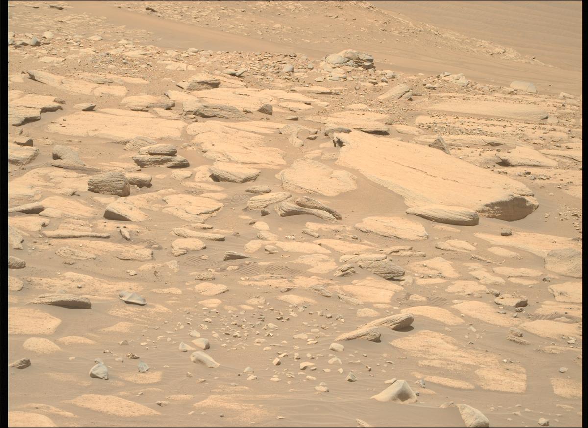 This image was taken by MCZ_RIGHT onboard NASA's Mars rover Perseverance on Sol 805
