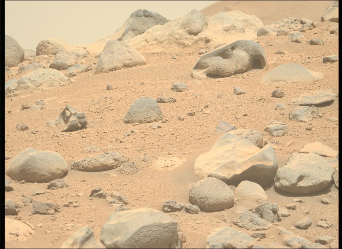 This image was taken by MCZ_LEFT onboard NASA's Mars rover Perseverance on Sol 806