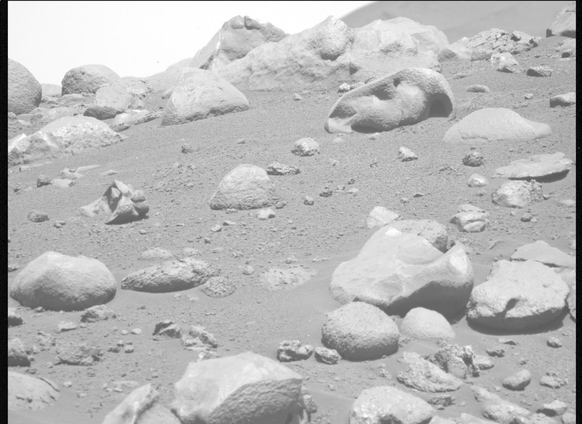This image was taken by MCZ_LEFT onboard NASA's Mars rover Perseverance on Sol 806