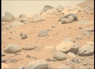View image taken on Mars, Mars Perseverance Sol 806: Right Mastcam-Z Camera