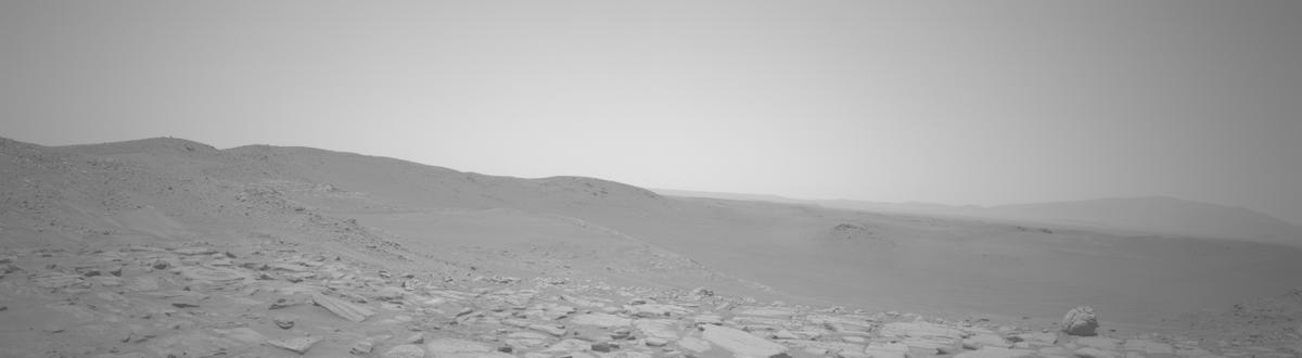 This image was taken by NAVCAM_LEFT onboard NASA's Mars rover Perseverance on Sol 810