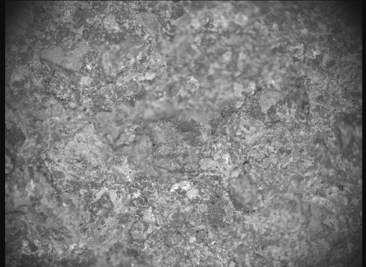 This image was taken by SHERLOC_ACI onboard NASA's Mars rover Perseverance on Sol 810