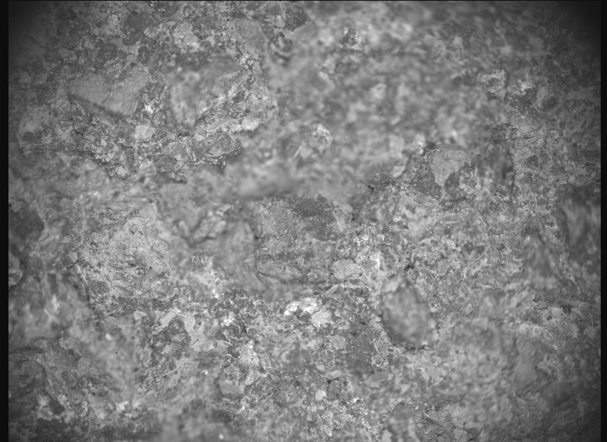 This image was taken by SHERLOC_ACI onboard NASA's Mars rover Perseverance on Sol 810