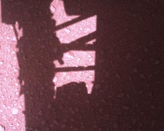 View image taken on Mars, Mars Perseverance Sol 813: Rover Down-Look Camera