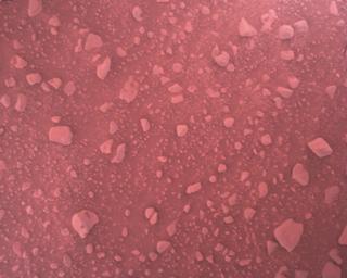 View image taken on Mars, Mars Perseverance Sol 813: Rover Down-Look Camera