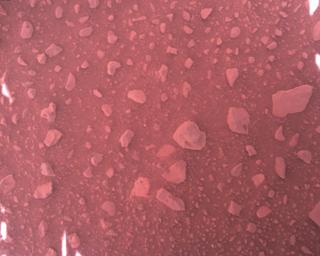 View image taken on Mars, Mars Perseverance Sol 813: Rover Down-Look Camera