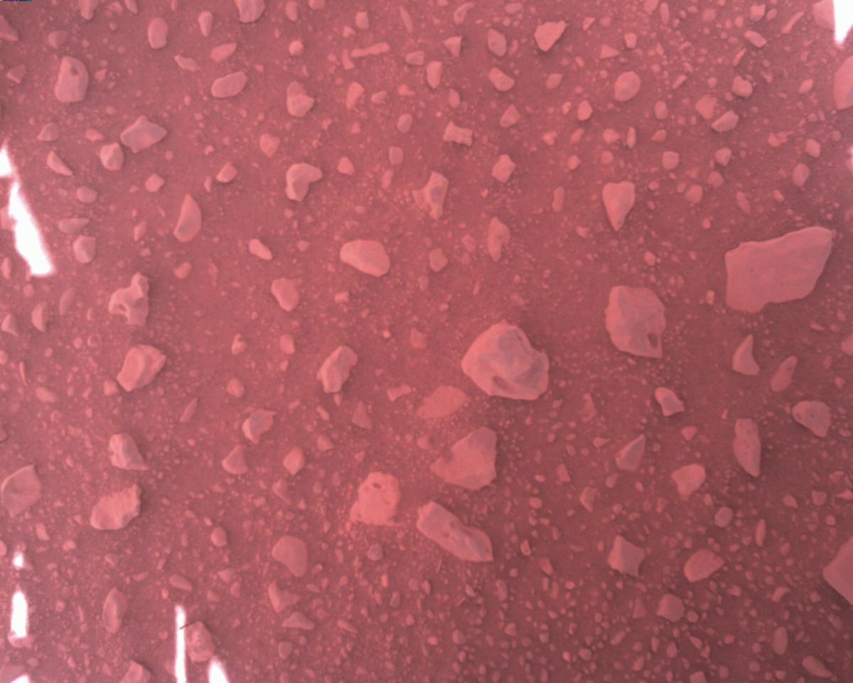 This image was taken by EDL_RDCAM onboard NASA's Mars rover Perseverance on Sol 813