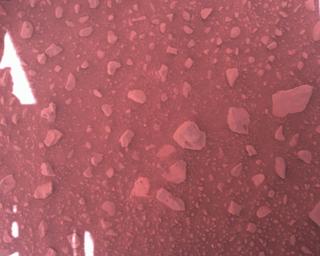 View image taken on Mars, Mars Perseverance Sol 813: Rover Down-Look Camera