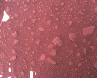 View image taken on Mars, Mars Perseverance Sol 813: Rover Down-Look Camera