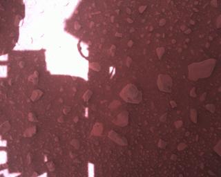 View image taken on Mars, Mars Perseverance Sol 813: Rover Down-Look Camera