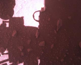 View image taken on Mars, Mars Perseverance Sol 813: Rover Down-Look Camera