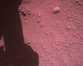 View image taken on Mars, Mars Perseverance Sol 813: Rover Down-Look Camera