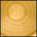 View image taken on Mars, Mars Perseverance Sol 813: Left Mastcam-Z Camera