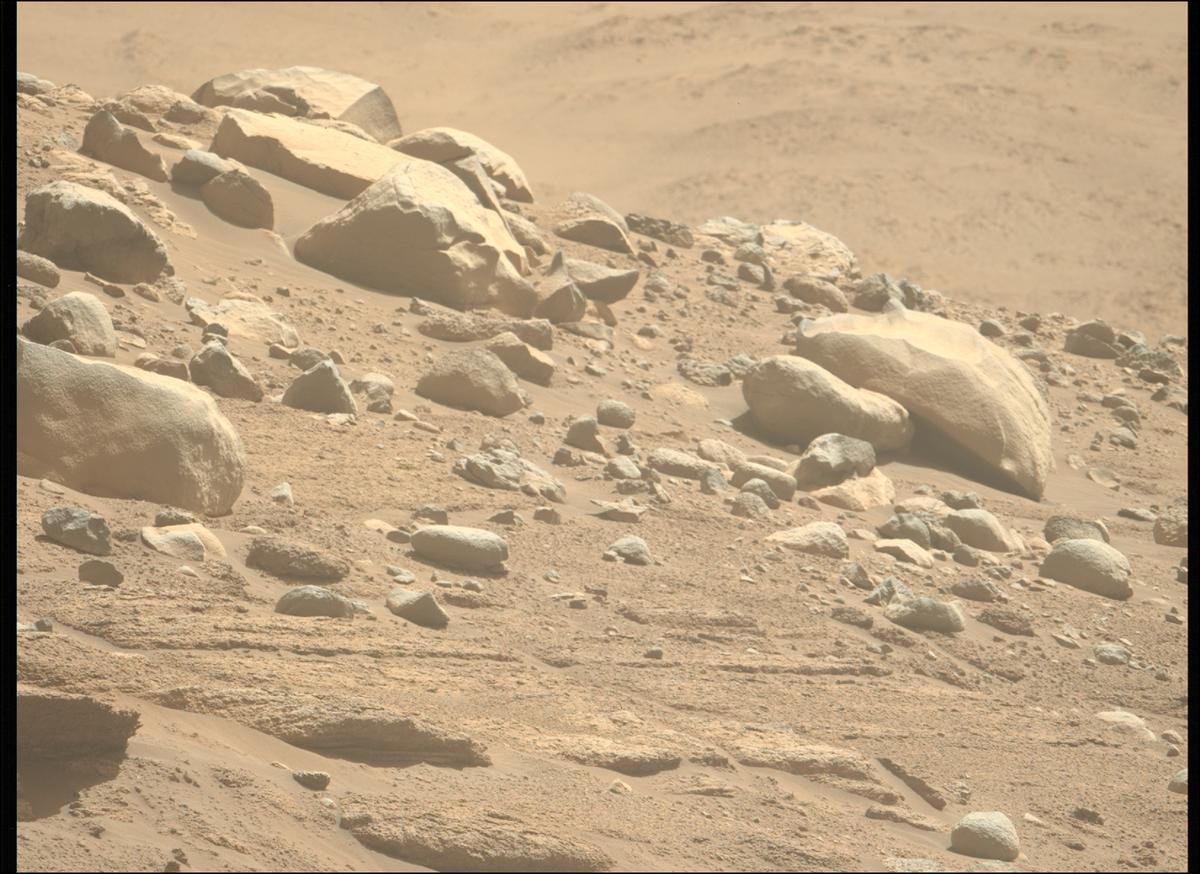 This image was taken by MCZ_LEFT onboard NASA's Mars rover Perseverance on Sol 816