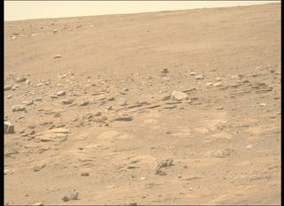 View image taken on Mars, Mars Perseverance Sol 818: Left Mastcam-Z Camera