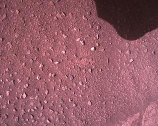View image taken on Mars, Mars Perseverance Sol 821: Rover Down-Look Camera