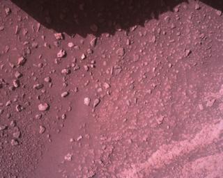 View image taken on Mars, Mars Perseverance Sol 821: Rover Down-Look Camera