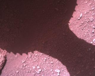 View image taken on Mars, Mars Perseverance Sol 821: Rover Down-Look Camera